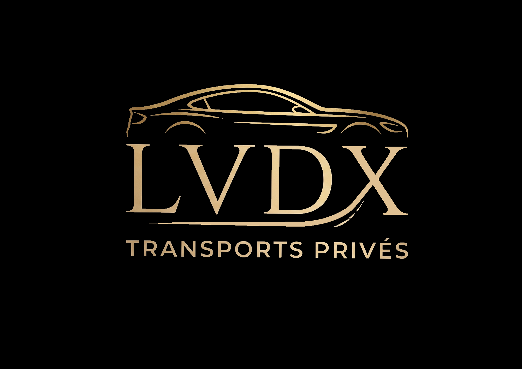 Chauffeur professionnel